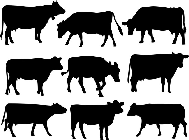 Krowa - Wektor, obraz