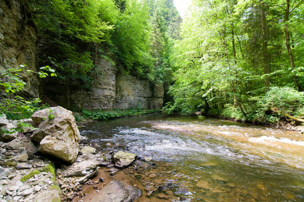 wild creek - Photo, Image