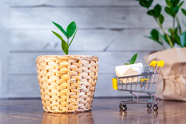 Sprout of a large and small Zamioculcas home plant in wicker pot and shopping cart stands on wooden background at home. Home gardening.  - Photo, Image