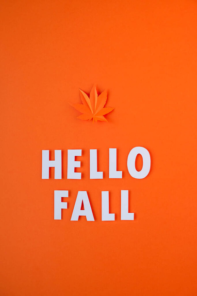 Orange maple leaf cut from paper on a bold orange background. Fall concept. - 写真・画像
