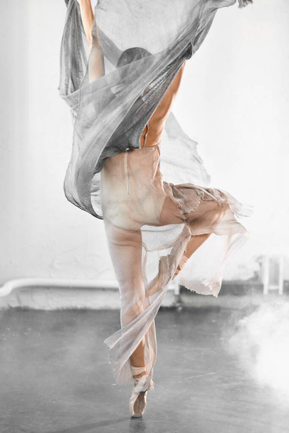 Beautiful young woman dancing in studio in pointe shoes - 写真・画像