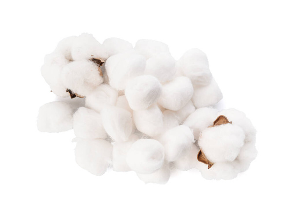 Boules de coton sur fond blanc - Photo, image