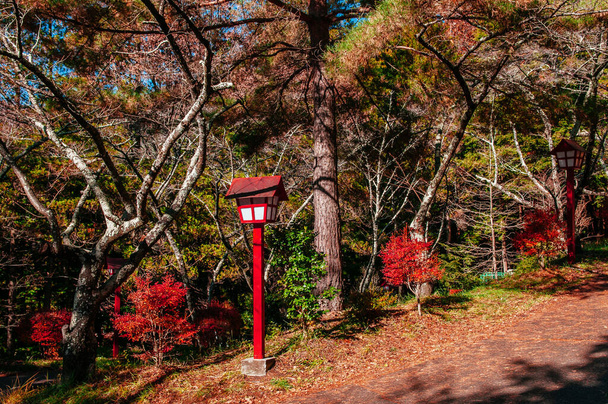 Lámpara japonesa de estilo santuario sintoísta clásico rojo entre arbustos verdes en el sendero de la pagoda Chureito Arakurayama Sengen Park en Shimoyoshida - Fujiyoshida
 - Foto, Imagen