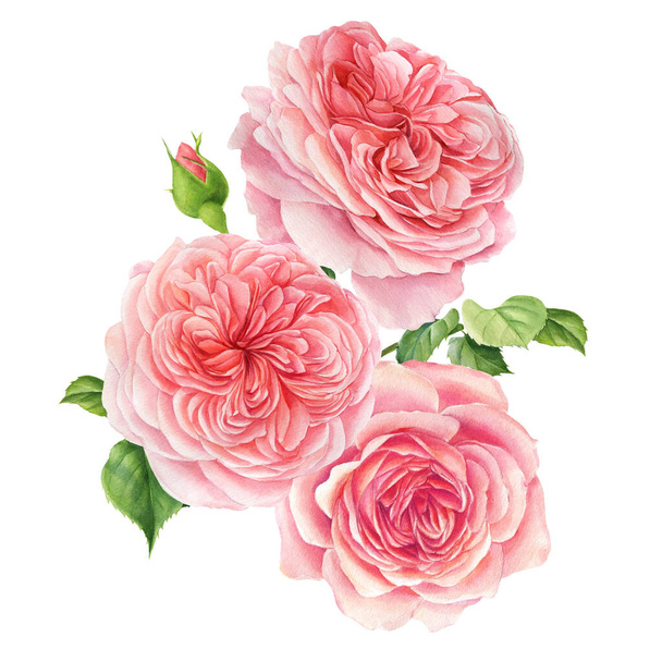 Bouquet di fiori su sfondo bianco. Acquerello fiori delicati rose rosa - Foto, immagini
