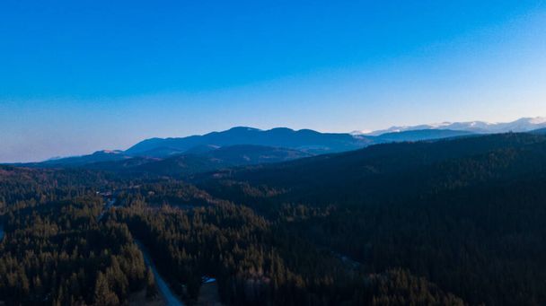 Carpathian mountains landscape pine forest needles aerial photography. - Foto, afbeelding