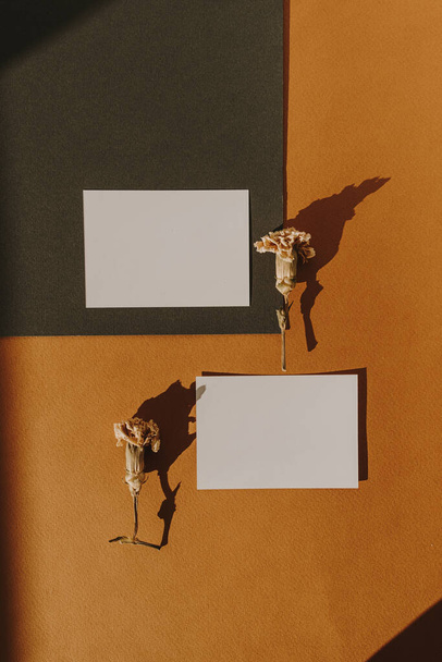 空のコピースペース、乾燥した花の芽と深い赤の背景に日光の影を持つ空白の紙の枚のカード。フラットレイアウト、トップビュービジネスモックアップテンプレート - 写真・画像