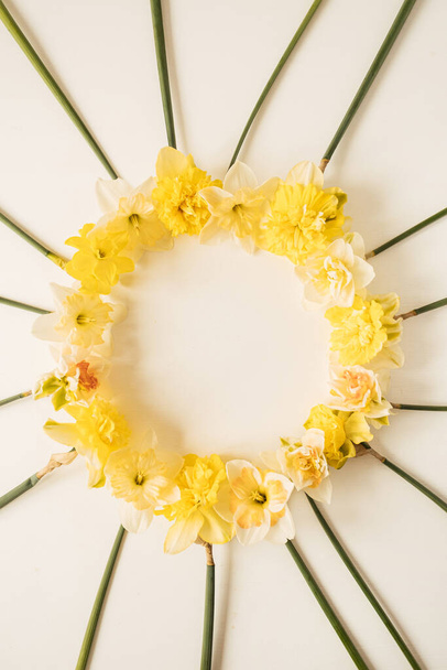 Ghirlanda rotonda realizzata con fiori di narciso giallo su sfondo bianco. Layout piatto, vista dall'alto floreale modello di spazio copia vuota - Foto, immagini