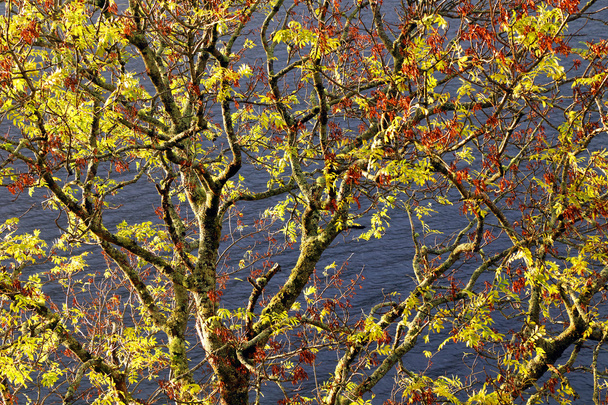 Lochness dans les Highlands
 - Photo, image
