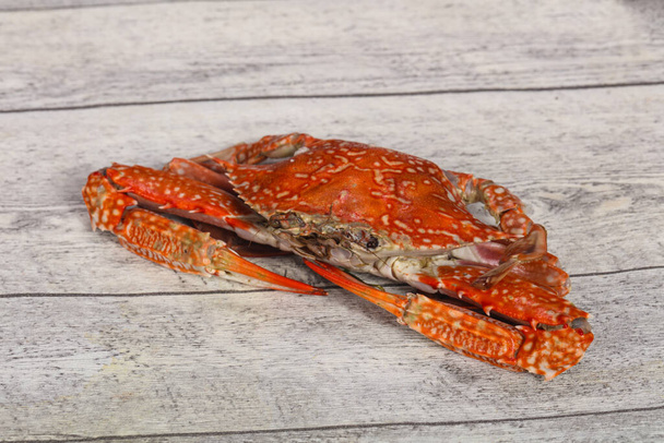 Delicous Boiled crab - ready for eat - Fotoğraf, Görsel