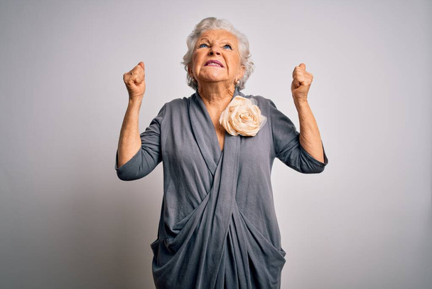Senior beautiful grey-haired woman wearing casual dress standing over white background crazy and mad shouting and yelling with aggressive expression and arms raised. Frustration concept. - Фото, зображення