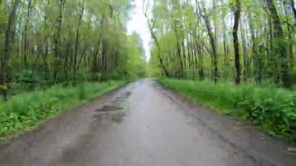 Hyperlapse. De camera beweegt langs een bosweg. Rond de groene bomen. - Video