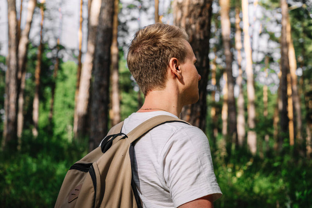 Una vista trasera de un turista masculino con una mochila Senderismo a través de un bosque de pinos, una pancarta para un camping natural y el concepto de turismo saludable
 - Foto, Imagen