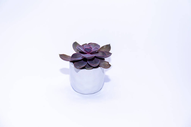 Декоративная керамическая ваза, изолированная на белом
 - Фото, изображение