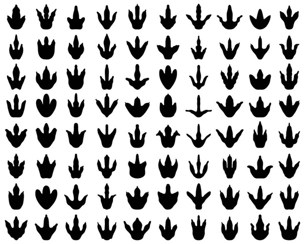Huellas negras de dinosaurios sobre un fondo blanco
 - Vector, Imagen