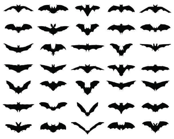Silhuetas pretas de morcegos em um fundo branco
 - Vetor, Imagem
