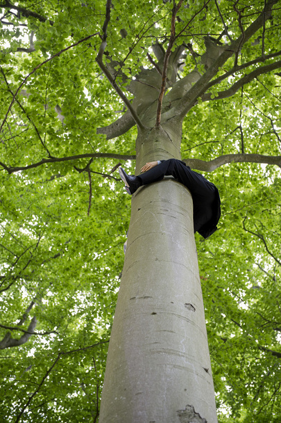 επιχειρηματίας προσκόλληση στον κορμό της ένα ψηλό δέντρο - Φωτογραφία, εικόνα