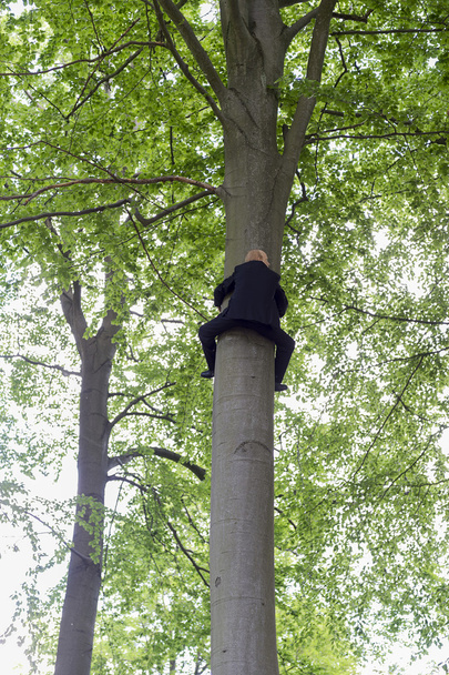 Uomo d'affari che scala il tronco di un albero alto
 - Foto, immagini