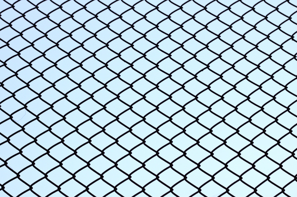 drátěný plot - Fotografie, Obrázek