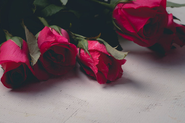 rosa Rosen auf weißem Hintergrund - Foto, Bild