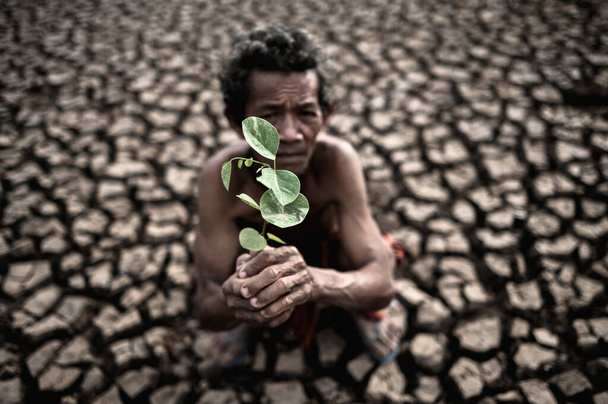 Un homme âgé assis avec du sol sec et fissuré dans un semis tenu à la main, réchauffement climatique - Photo, image
