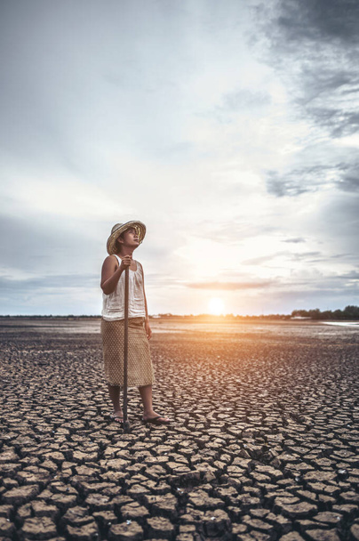 Η γυναίκα στέκεται το χέρι του και έπιασε ένα Siem σε ξηρό έδαφος και κοίταξε τον ουρανό. - Φωτογραφία, εικόνα