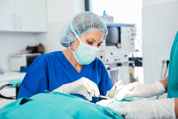 Χειρουργική ομάδα στο χειρουργείο. Επαγγελματίας ιατρός εκτελεί χειρουργική επέμβαση - Φωτογραφία, εικόνα