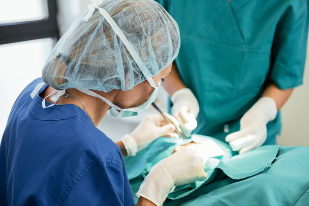 Équipe chirurgicale dans la salle d'opération. Médecin professionnel effectuant une chirurgie - Photo, image