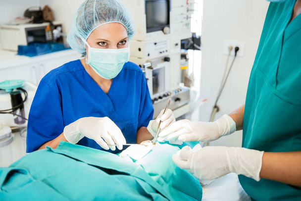 Equipo de cirugía en el quirófano. Médico profesional realizando cirugía
 - Foto, Imagen