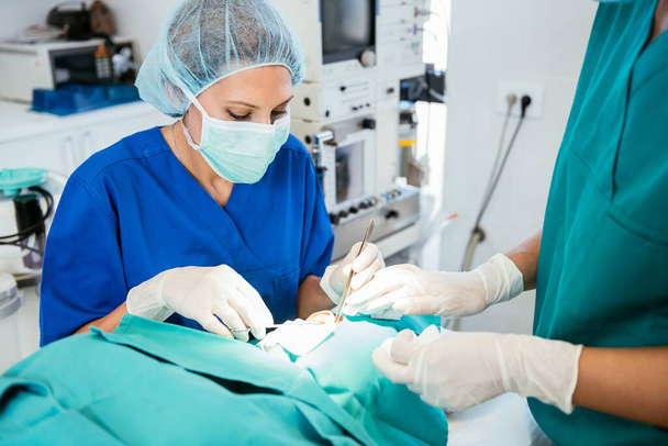 Zespół chirurgiczny na sali operacyjnej. Lekarz wykonujący zabieg chirurgiczny - Zdjęcie, obraz