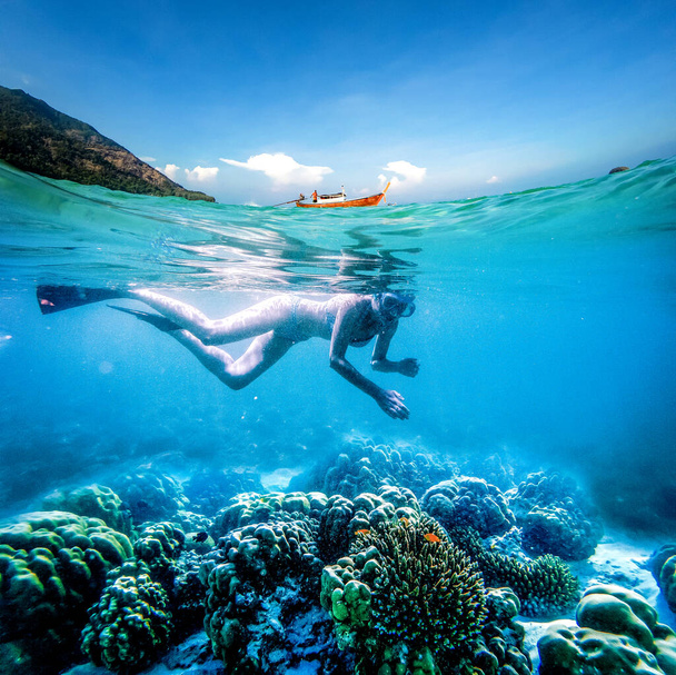 mulher snorkeling em águas tropicais claras, imagem dividida de barco subaquático e de cauda longa na superfície - férias ativas
 - Foto, Imagem