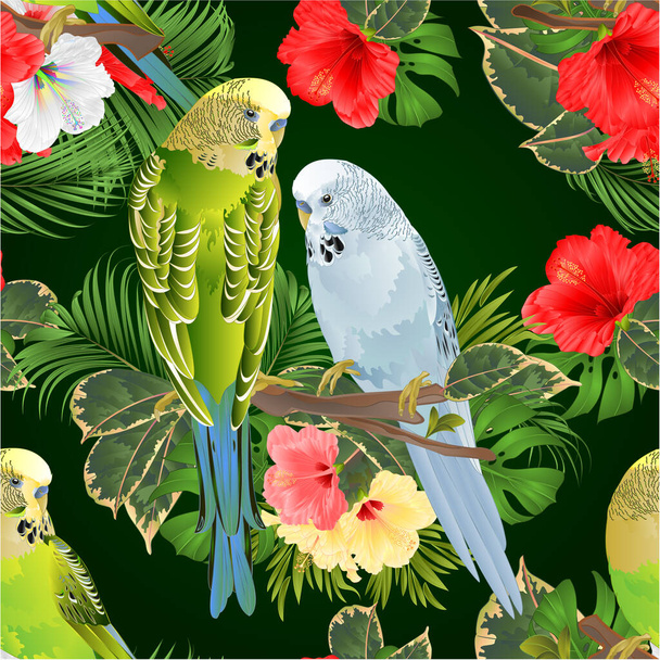 Безшовна текстура птахів Бадгери, домашні тварини, грен і сині домашні тварини папуги на гілці букет з тропічними квітами гібіскус, пальма, філодендрон на білому тлі старовинні ілюстрації, що редагуються рукою
 - Вектор, зображення