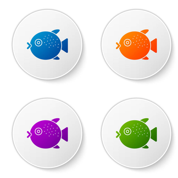 Farbe Kugelfisch-Symbol isoliert auf weißem Hintergrund. Fugu-Fisch japanischer Kugelfisch. Setzen Sie Symbole in Kreis-Tasten. Vektor.. - Vektor, Bild