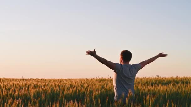 Un homme adulte se tient sur un champ dans l'herbe haute, les bras étendus sur les côtés pendant l'aube. - Séquence, vidéo