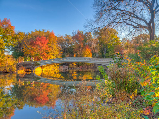 Central Park, New Yoprk City pont avant à la fin de l'automne - Photo, image