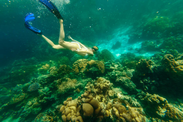 Ragazza in apnea alle isole Surin - Foto, immagini