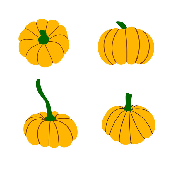 Συλλογή από κολοκύθες που απομονώνονται σε λευκό φόντο. Πορτοκαλί, κίτρινη, κόκκινη κολοκύθα για το Halloween και Ημέρα Ευχαριστιών σχεδιασμό. Βιολογικά φθινοπωρινά λαχανικά. Διανυσματική επίπεδη απεικόνιση - Διάνυσμα, εικόνα