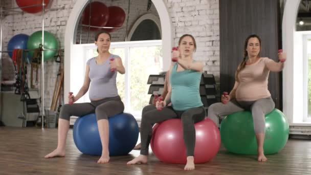 Zoom kuvaa neljää aktiivista raskaana olevaa naista, jotka istuvat vakavuuspalloilla ja harjoittelevat käsipainoilla kuntosalilla - Materiaali, video