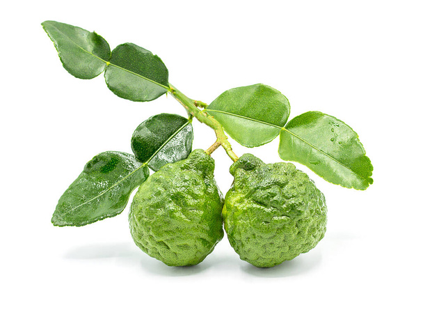 Fresh Bergamot fruit with leaf isolated on white background - Photo, Image