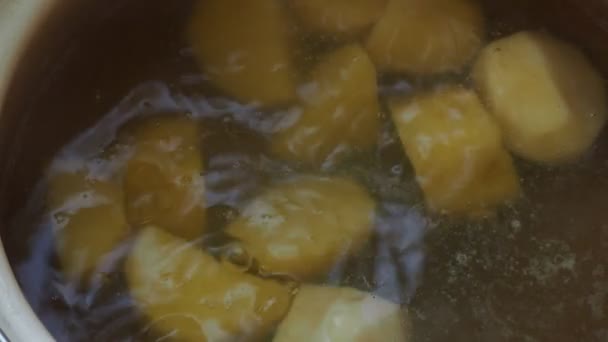 Vegetarian, simple food. The cook's hand opens the lid of the pot and salts the potatoes that are cooking in it. Close up. - Filmagem, Vídeo