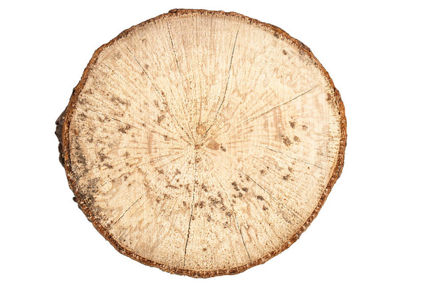ブナの木の切り株ラウンドカットリングと白の背景のフォームトップビューに分離 - 写真・画像