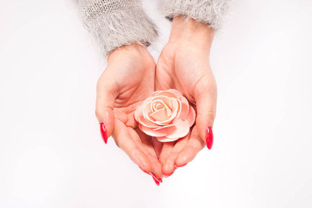Розовый цветок на руках женщины изолированы на белом фоне
 - Фото, изображение
