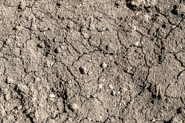 Textuur van gebarsten grond bij daglicht in de natuur - Foto, afbeelding