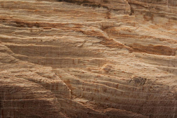 Textura de madera natural para diseño y decoración
 - Foto, imagen