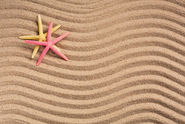 Kaksi värillistä meritähteä kesärannalla teksturoidulla hiekalla. Tekstipaikka. Kesätausta. Kesäaika. Kuva bannerille tai mainokselle. Yläkuva. - Valokuva, kuva