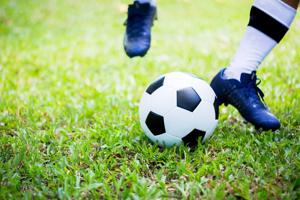 Futbolcu topu yeşil çimlerin üzerinde vurarak gol atıyor. Maç için futbolcu eğitimi. Futbol akademisinde futbolcu.. - Fotoğraf, Görsel