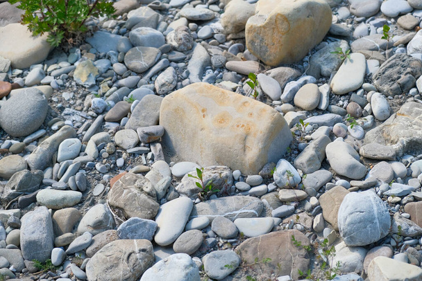 cailloux et pierres dans le lit de la rivière par une journée ensoleillée. Photopebbles et pierres de haute qualité dans le lit de la rivière par une journée ensoleillée - Photo, image