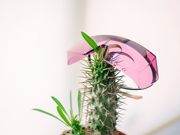  γλάστρα με κάκτο με ροζ προστατευτικά γυαλιά λέιζερ αποτρίχωσης. Αφαίρεση τρίχας, αποτρίχωση με laser, διασκεδαστικό concept - Φωτογραφία, εικόνα