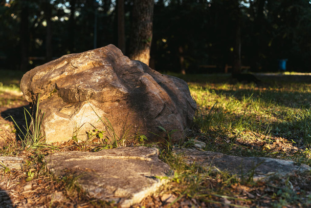 Na travnaté ploše ležel velký žulový kámen. Krásný letní park s vysokými stromy, velkými kameny a stromem. Park s velkými kameny. - Fotografie, Obrázek