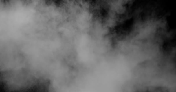 Πολύχρωμη σκόνη που εκρήγνυται σε μαύρο φόντο. Γυρίστηκε με κάμερα υψηλής ταχύτητας, αργή κίνηση. - Πλάνα, βίντεο