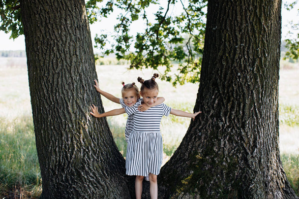 Щасливі діти сестри дівчини грають у парку на відкритому повітрі. Щасливе дитинство
 - Фото, зображення